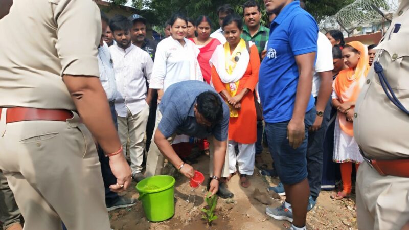 पेड़ों के प्रति उतना ही सचेत रहे जितना स्वयं के प्रति है: उपायुक्त