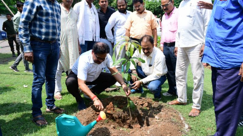 ‘एक पेड़ माँ के नाम’ अभियान को साकार करने में जुटा राजमहल परियोजना प्रबंधन